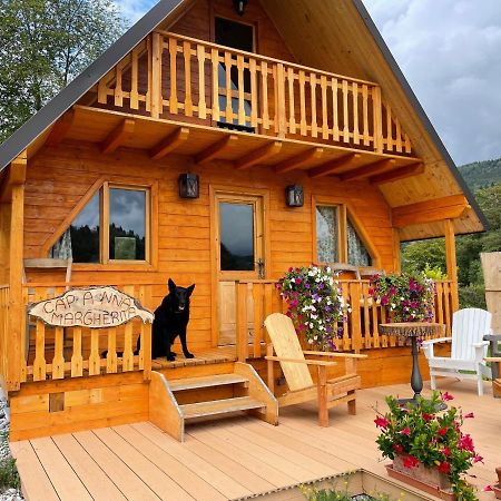 Agri Camp Dolomiti Lejlighed Belluno Eksteriør billede