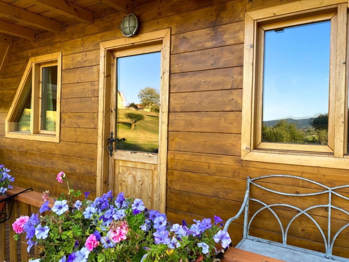 Agri Camp Dolomiti Lejlighed Belluno Eksteriør billede