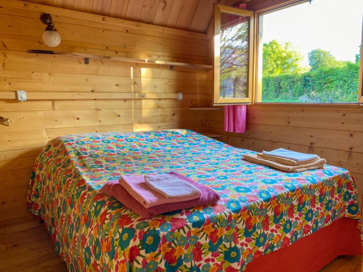 Agri Camp Dolomiti Lejlighed Belluno Eksteriør billede