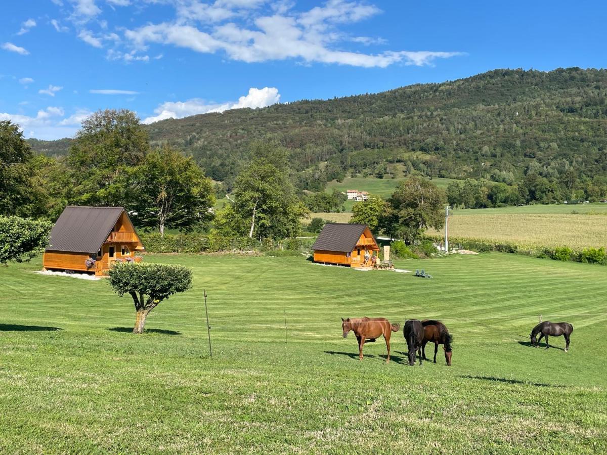 Agri Camp Dolomiti Lejlighed Belluno Eksteriør billede