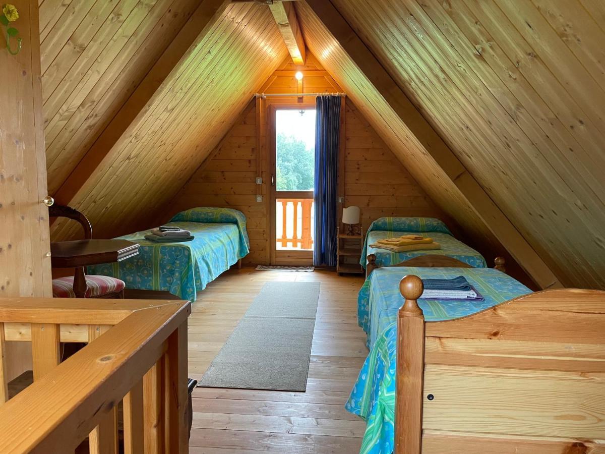 Agri Camp Dolomiti Lejlighed Belluno Eksteriør billede