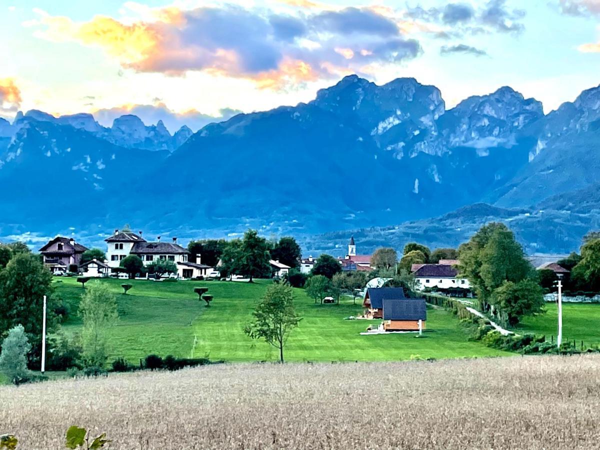 Agri Camp Dolomiti Lejlighed Belluno Eksteriør billede