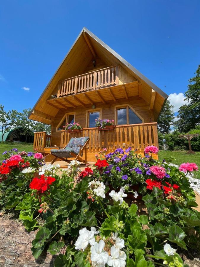 Agri Camp Dolomiti Lejlighed Belluno Eksteriør billede