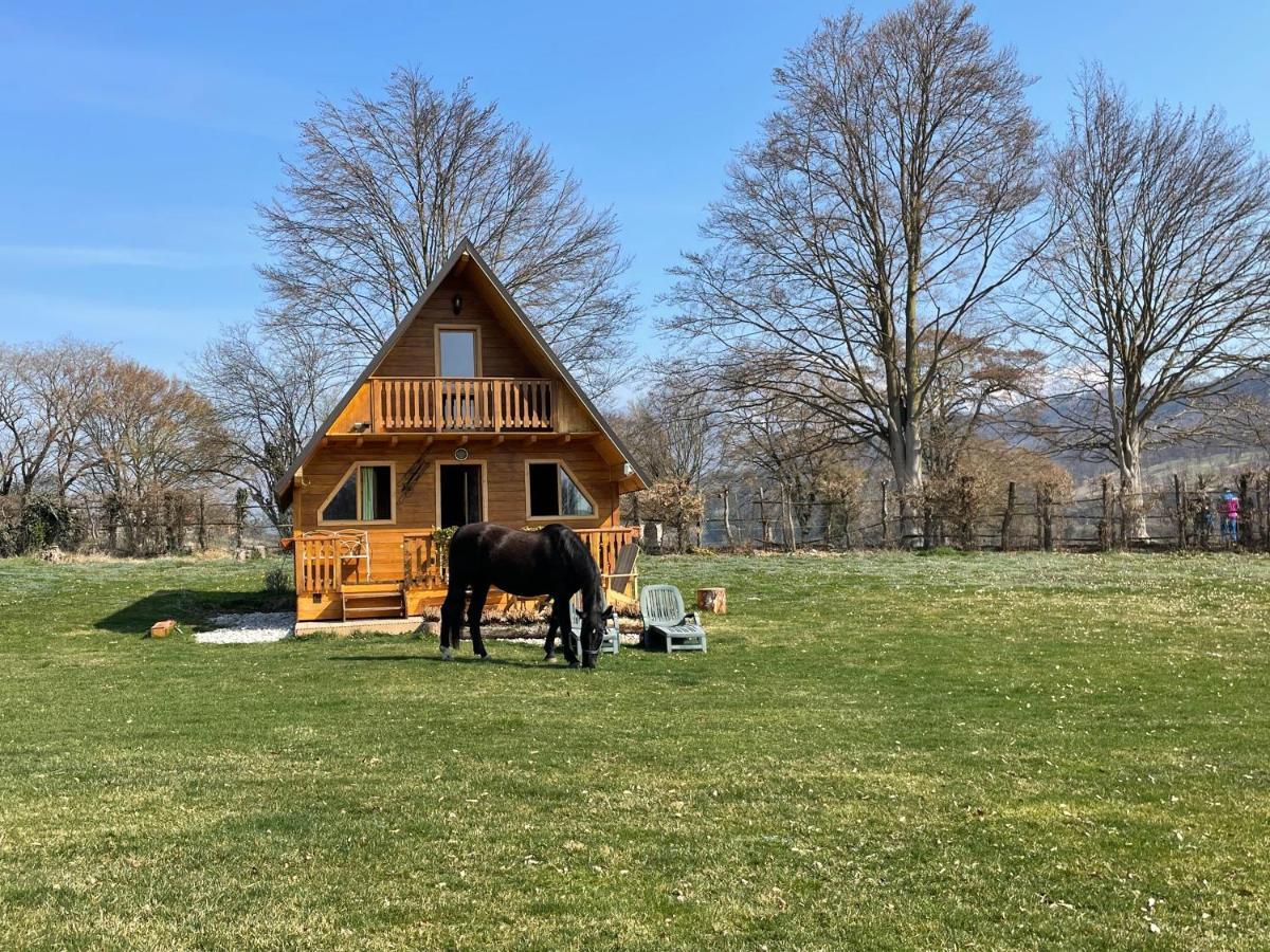 Agri Camp Dolomiti Lejlighed Belluno Eksteriør billede