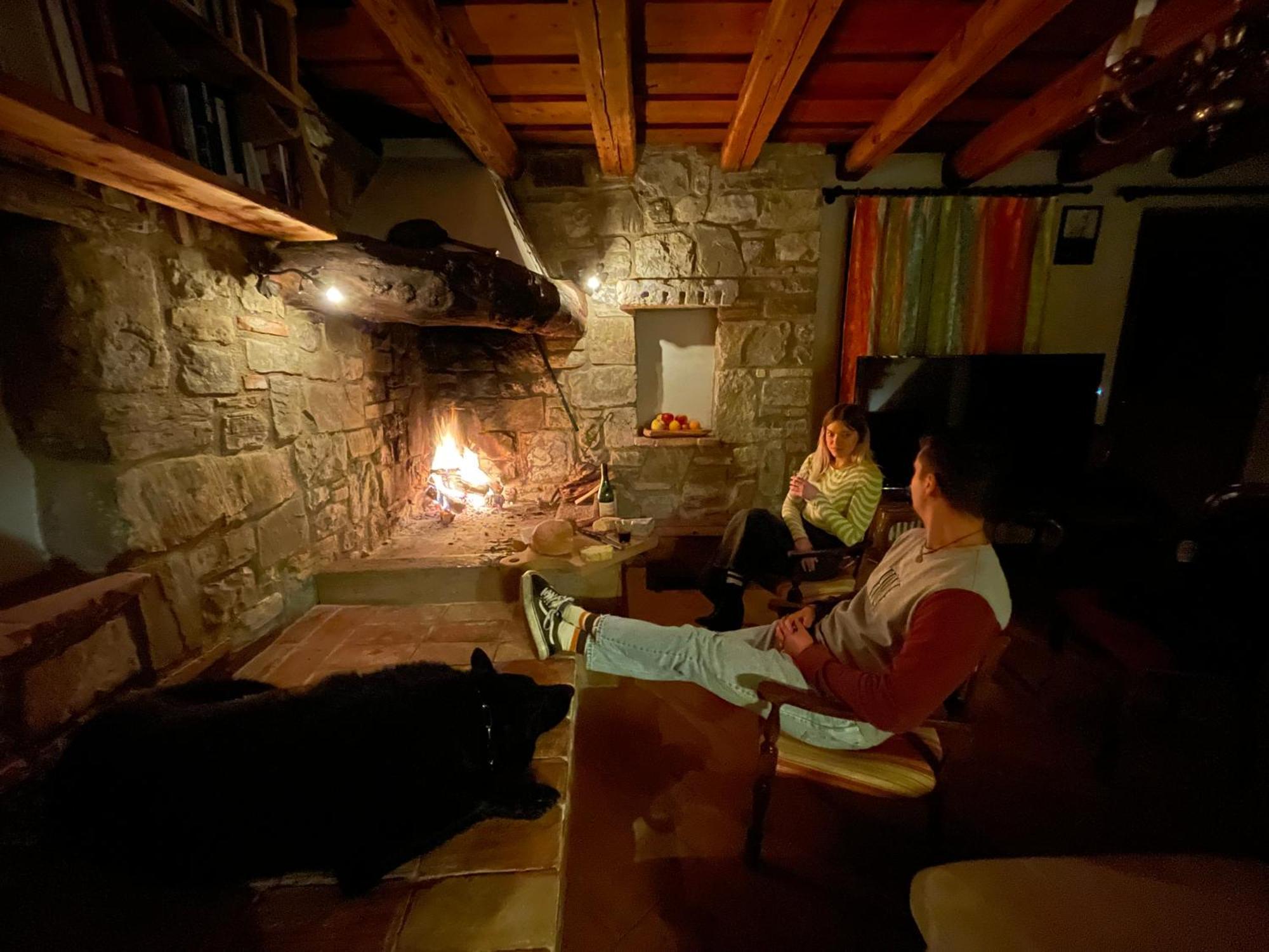 Agri Camp Dolomiti Lejlighed Belluno Eksteriør billede